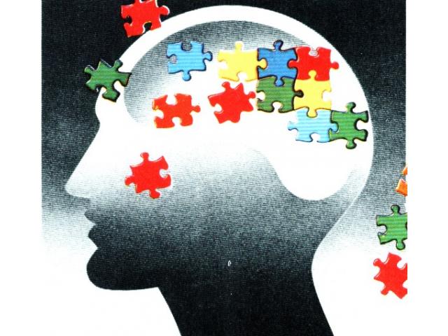 Licenciada Patricia Gualdi Licenciada Patricia Gualdi