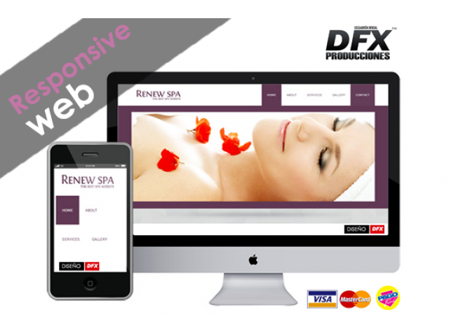 Diseñador de paginas web con posicionamiento Diseñador de paginas web con posicionamiento